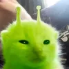 josseiutqnq