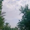 .rr3435