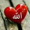 jamalshah2205
