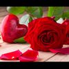 user9941197018522