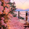 nauhalim_78