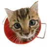 tellkichi8