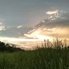 rapaelanjay2