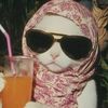 user11081678380125