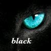 mr_tanveer001