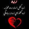 shaukatjan346