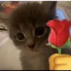 userrrrrr_2345678