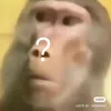 natngnl