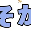 inisokamini