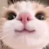 user2986593832018