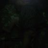 user4653416760670