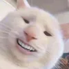 jametkuasa3