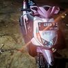 calonsantri401