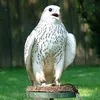 alhuru76