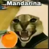 mandarina.lover00