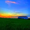 nhattruong_123