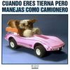angelesencielo443