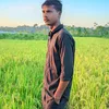 mdallmih