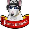 perrito__malvad0