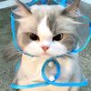 user701073198040