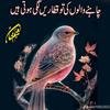 shahidbaloch1528