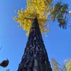 travel_adventures19