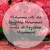 salmahshazwanyabdullah