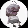 aminektmz0a