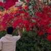 marwanramadan8