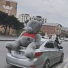 ziya.o42