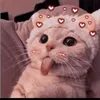 inhhng030