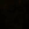 _jack0161