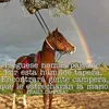 veritooquipi...433