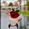 user7473263298533