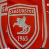 silaesinars55