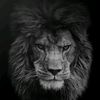 user7181512000762