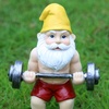 the_muscular_gnome