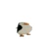user125955200204