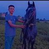 user378751912539