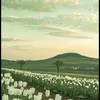 fatima_f313f