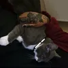 bintabdinasir1