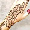 sn786001