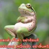 user3208158117314