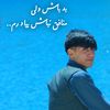 hamidhashemi75