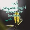 user7819030446096