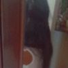 anshinee1