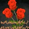 rizwansattisatti12gmail6