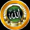 sajnabegum58