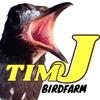 TIM.J BirdFarm