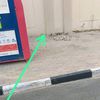 +923339783835